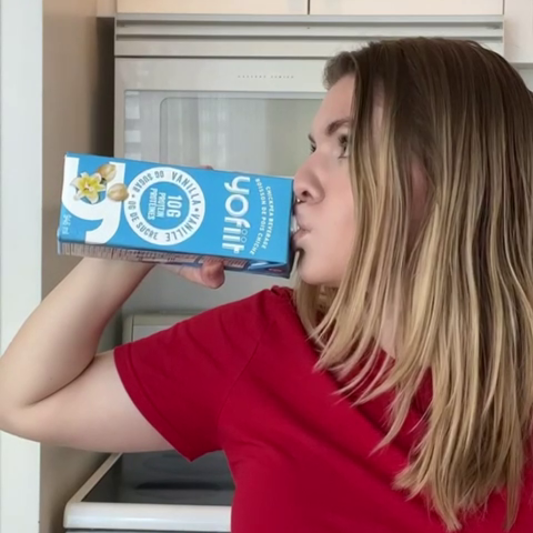 High protein chickpea milk w. flax (Vanilla)